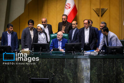 جلسه علنی مجلس با حضور فرزین ۳۰ اردیبهشت ۱۴۰۴