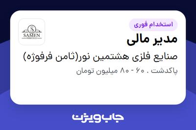 استخدام مدیر مالی - آقا در صنایع فلزی هشتمین نور(ثامن فرفوژه)