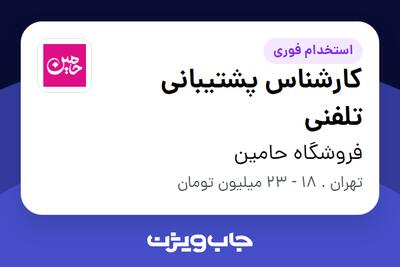 استخدام کارشناس پشتیبانی تلفنی - خانم در فروشگاه حامین