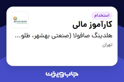 استخدام کارآموز مالی در هلدینگ صافولا (صنعتی بهشهر، طلوع پخش آفتاب و گندم طلایی نوتریکا)
