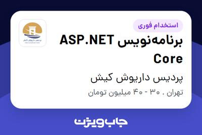 استخدام برنامه‌نویس ASP.NET Core در پردیس داریوش کیش