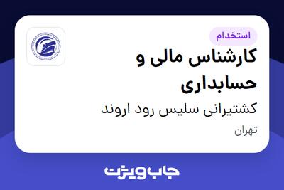استخدام کارشناس مالی و حسابداری در کشتیرانی سلیس رود اروند