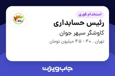 استخدام رئیس حسابداری - خانم در کاوشگر سپهر جوان