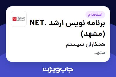 استخدام برنامه نویس ارشد .NET (مشهد) در همکاران سیستم