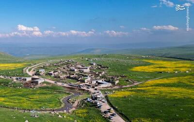 عکس/ طبیعت بهاری دامنه کوه سبلان
