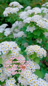 فال و طالع بینی روزانه 30 اردیبهشت + فیلم