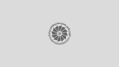 راه‌اندازی کارگروه تخصصی توسعه تولید مشترک و صادرات به اوراسیا