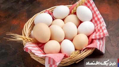 قیمت تخم‌مرغ امروز ۳۰ اردیبهشت ۱۴۰۴  + جدول