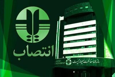 انتصاب جدید در سازمان حفاظت محیط زیست