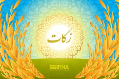 معاون کمیته امداد: فقط ۲ درصد از ظرفیت سالانه زکات محقق می‌شود