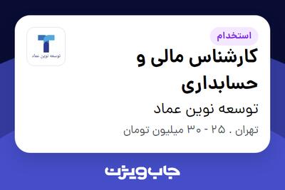 استخدام کارشناس مالی و حسابداری در توسعه نوین عماد