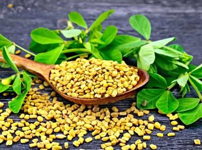 این سبزی سنگ کلیه را آب می کند