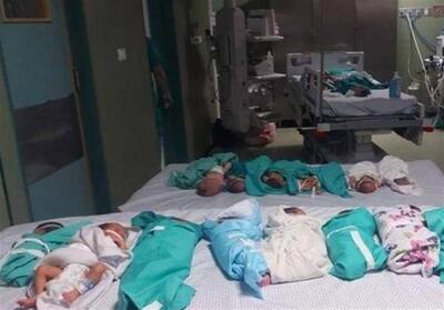 خطر بزرگ برای جان 14 هزار نوزاد در غزه/ مرگ تلخ زنان - تسنیم