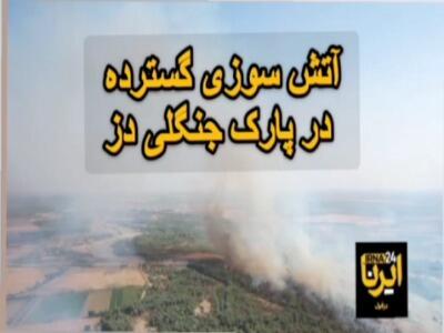 آتش‌سوزی گسترده در پارک ملی دز