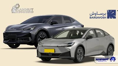 کدام شرکت ها عرضه بی ضابطه خودرو انجام می دهند؟ - آخرین خودرو
