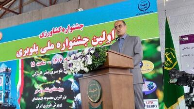 استاندار گیلان: اجازه ویلاسازی در گیلان را به افراد غیربومی نمی‌دهیم