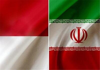 همکاری‌های ایران و اندونزی در زمینه های درمانی و دارو گسترش می‌یابد