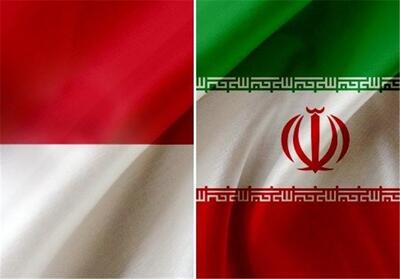 همکاری‌های ایران و اندونزی در زمینه‌های درمانی و دارو گسترش می‌یابد