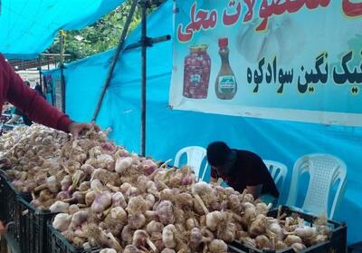 طعم تند سیر اَتو در بازار فروش/ سیر سوادکوه برند ملی شد - تسنیم