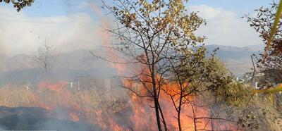 آتش‌سوزی عرصه‌های طبیعی در پنج شهرستان خوزستان