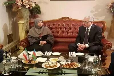 همکاری ایران و جمهوری آذربایجان در حفظ خزر و ارس ضروری است