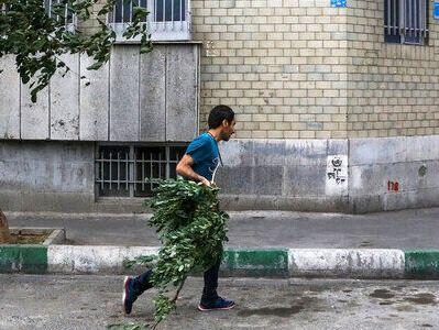 هشدار زرد رنگ فعالیت سامانه بارشی و وزش باد شدید در تهران