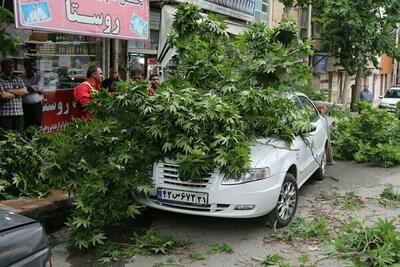 باد و باران و خیزش خاک در نقاط مختلف کشور