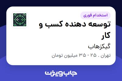 استخدام توسعه دهنده کسب و کار در گیکزهاب