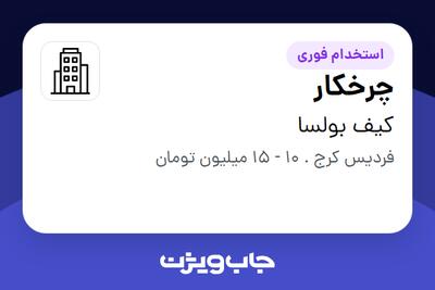 استخدام چرخکار در کیف بولسا