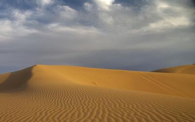 ۱۱ پناهنده سودانی در صحرای لیبی بر اثر کم‌آبی جان باختند