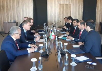 دیدار رئیس سازمان تعزیرات با مسئولان قضائی روسیه - تسنیم