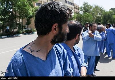 اسیدپاش تهرانی با شلیک پلیس زمین‌گیر شد - تسنیم