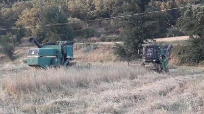 امسال کشاورزان نگران پول محصول تحویلی خود نباشند