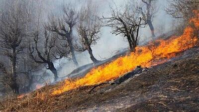 آتش‌سوزی وسیع در مراتع شهرستان دشتستان