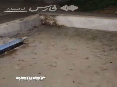 هجوم ملخ‌ها به شهر خرم‌آباد