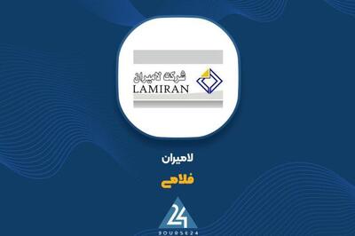 بررسی فروش 8 ماهه «فلامی»