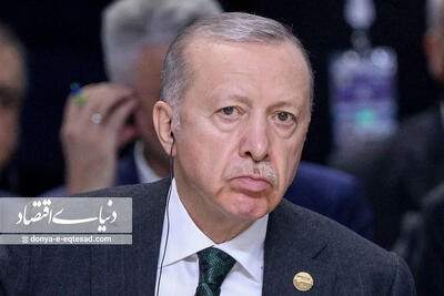 اردوغان و شهباز شریف رایزنی کردند