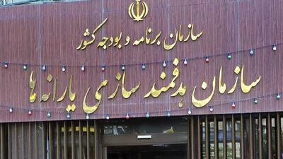 خبر مهم برای یارانه بگیران / در صورت محرومیت ناگهانی از یارانه نقدی چه اقداماتی باید انجام داد؟