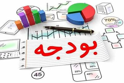 پرداخت هرگونه وجهی از محل بودجه کل کشور به ورزش حرفه‌ای ممنوع شد