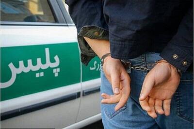 سارق زورگیر باغ های رباط کریم دستگیر شد