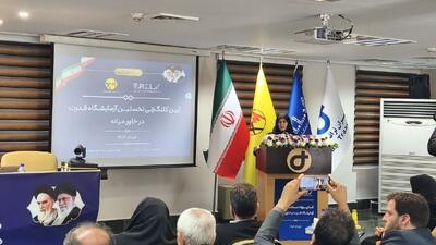 زنجان در صنایع برق و الکترونیک دارای مزیت نسبی است 