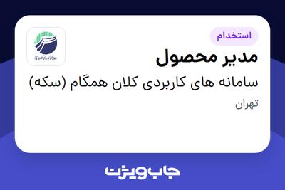 استخدام مدیر محصول در سامانه های کاربردی کلان همگام (سکه)