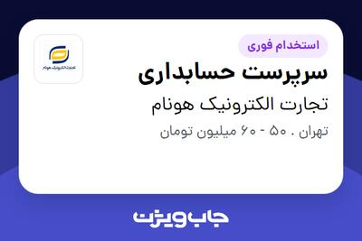 استخدام سرپرست حسابداری در تجارت الکترونیک هونام