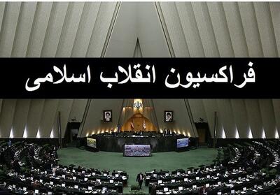 جریانی از بیرون مجلس اجازه نمی‌داد فراکسیون انقلاب فعال شود - تسنیم