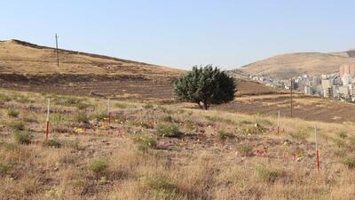 محوطه سنگ معدن کرمانشاه قدمتی در حدود ۱ میلیون سال دارد