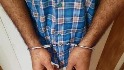 نجات معجزه‌آسای دختر ۳ ساله از چنگال آدم‌ربا