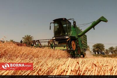آغازخرید تضمینی گندم در شهرستانهای جنوبی لرستان