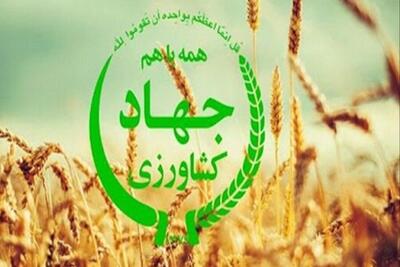 سرپرست سازمان جهاد کشاورزی کرمانشاه معرفی شد