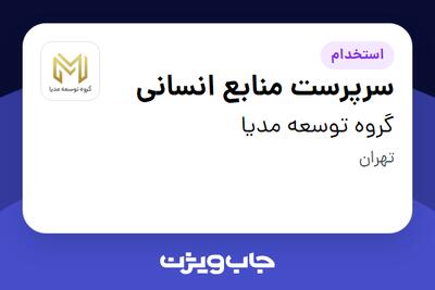 استخدام سرپرست منابع انسانی در گروه توسعه مدیا