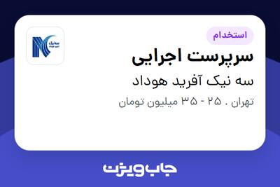 استخدام سرپرست اجرایی در سه نیک آفرید هوداد